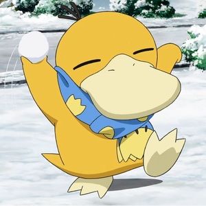 Meet your Posher, Jody